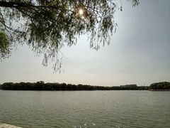 -北陵公园