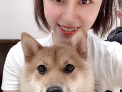 -逗柴咖啡屋·狗咖猫咖宠物桌游