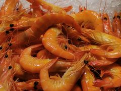 -安蒂娅·海鲜自助餐厅(安蒂娅美兰酒店)