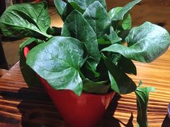 菠菜-庄老幺火锅(娄山关路店)