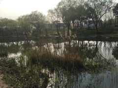 -新江湾城公园