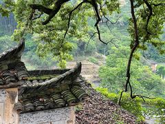 -杨家堂村