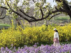 -江苏三台山国家森林公园