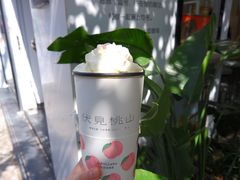 伏见桃山-伏小桃(明瓦廊店)