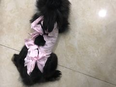 -美迦爱-动物医院·骨科·牙科·夜诊(朝阳路诊疗中心)