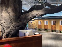 -大视光学•LINDBERG林德伯格•全球手工眼镜集合店(王府井店)