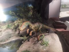 -辽宁古生物博物馆