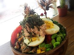 金枪鱼捞波奇饭-Poke lemon海鲜波奇饭·柠檬茶(金碧开放小区店)