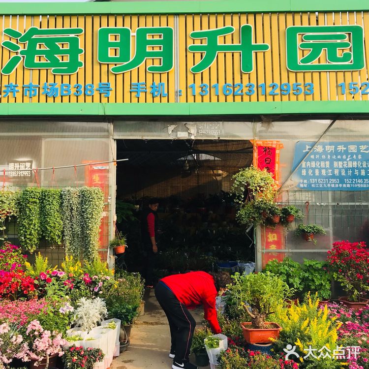              细雨沐春光    花事尽开张