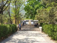 -阳台山自然风景区