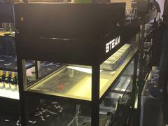-STEAM电音工厂