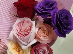 -弗劳尔花艺坊(龙涛店)