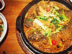 -老板恋上鱼(恒隆广场店)