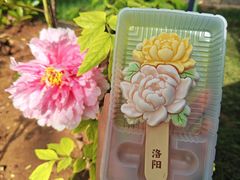 -洛阳市隋唐城遗址植物园