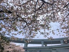-南浦大桥长途旅游客运站