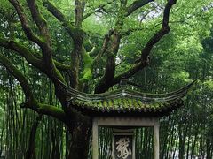 -兰亭风景区