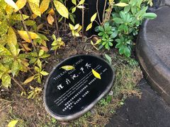 -广州都喜泰丽温泉度假酒店