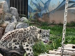 -青藏高原野生动物园