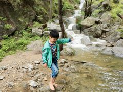 -王顺山国家森林公园