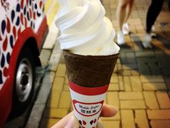 -富豪雪糕车流动点(尖沙咀店)