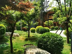 -禧宴Joyous Restaurant(禧园店)