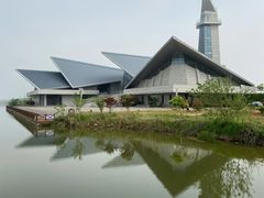 -盐城丹顶鹤湿地生态旅游区