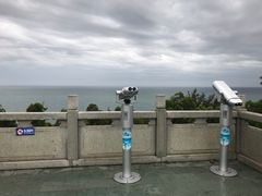 -广东惠东海龟国家级自然保护区
