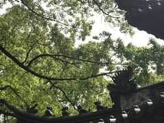 -普陀山风景名胜区-法雨禅寺