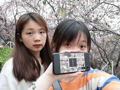 -小南山公园