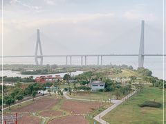 -芒洲湿地公园