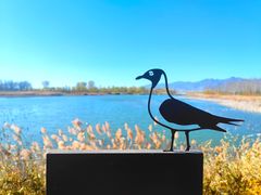 -野鸭湖国家湿地公园