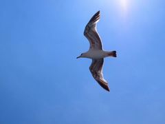 -星巴克臻选(成都宽窄巷子店)