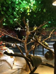 -酷嗒动物文化乐园(cutezoo西溪乐天城店)