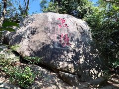 -野狸岛