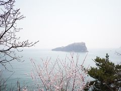 -棒棰岛宾馆景区