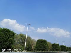 -黄海国家森林公园