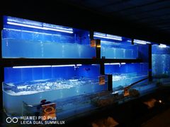 -凤凰岛度假酒店-海鲜自助餐厅