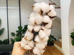 -森野花艺培训·企业团建活动沙龙