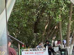 -鸡鸣汤包(红山动物园店)