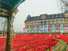 -广州花之恋城堡酒店