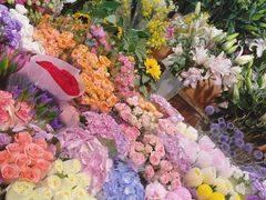 -朝来春花卉市场
