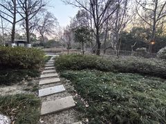 -昆山城市生态森林公园