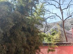 -潭柘寺景区