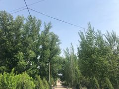 -小厨子私房菜·云南美食店