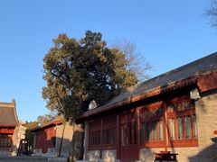 -黄帝陵