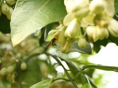 -福建鲤鱼洲酒店