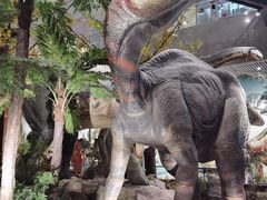 -湖南省地质博物馆