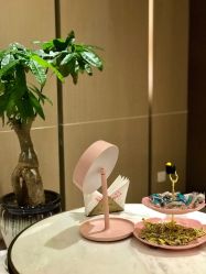 -苑苑vbeauty科技美容SPA