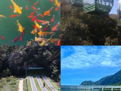 -沂蒙山旅游区云蒙景区(蒙山国家森林公园)