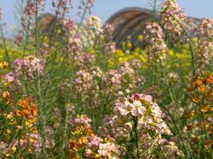 -中国天府农业博览园